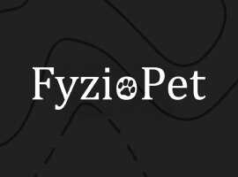 fyzio_optimized