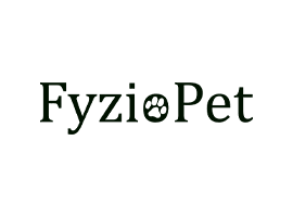 fyzio_optimized
